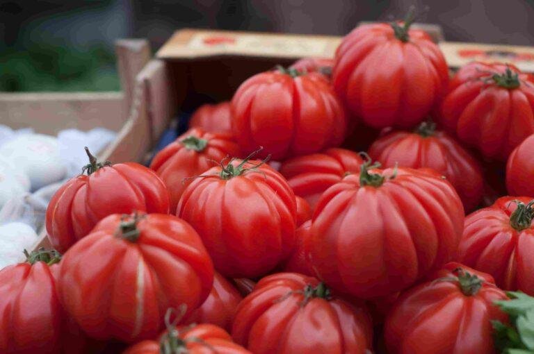 The Supermarket Tomato Lost Its Flavor to an Accident Nobody Noticed for Eighty Years